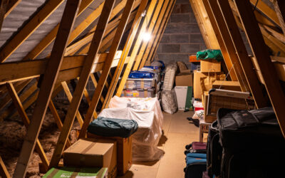 Van opberghok tot leefruimte