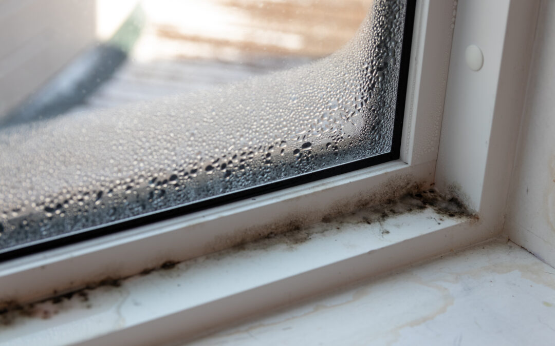Condens in huis? Onze beste tips